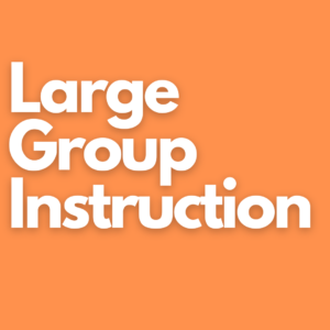 Large Group Instruction